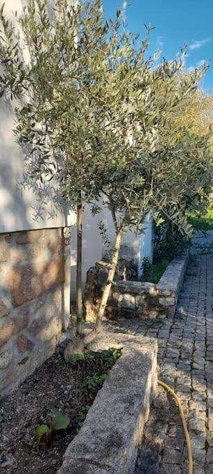 Quinta Da Barbosa Villa Folgosinho Luaran gambar